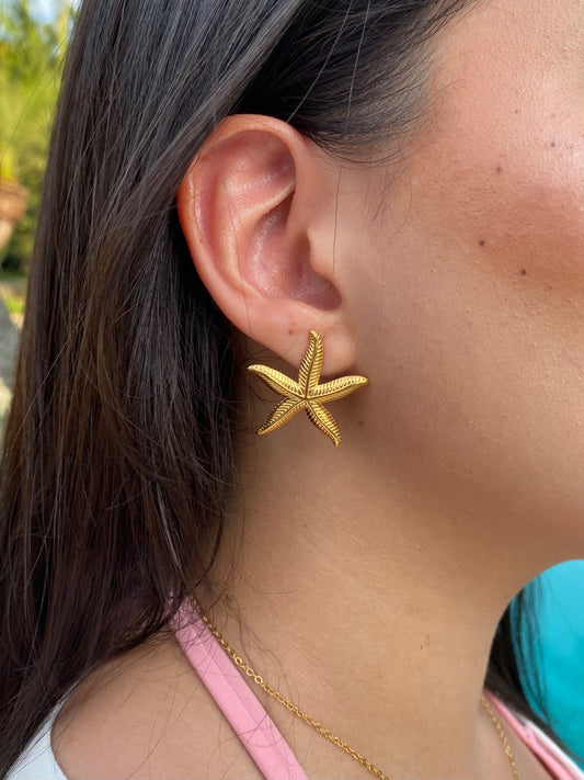 Aretes ‘Estrella Marina’